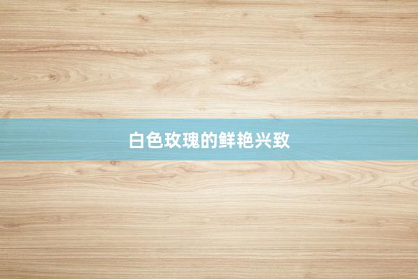 白色玫瑰的鲜艳兴致