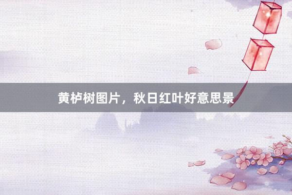 黄栌树图片，秋日红叶好意思景