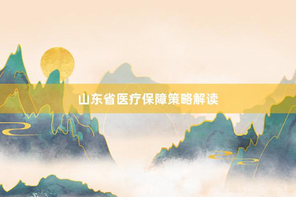 山东省医疗保障策略解读