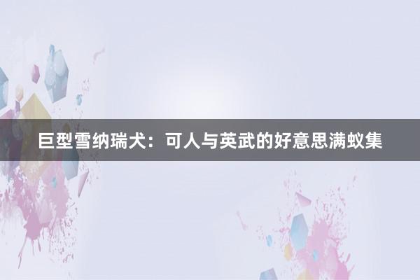 巨型雪纳瑞犬：可人与英武的好意思满蚁集