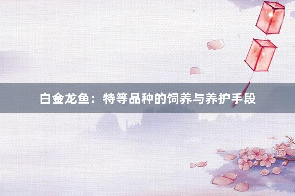 白金龙鱼：特等品种的饲养与养护手段