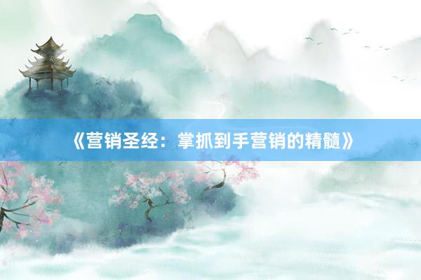 《营销圣经：掌抓到手营销的精髓》